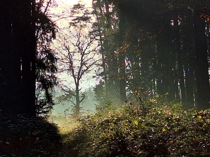Datei:Eickelberg-03.jpg