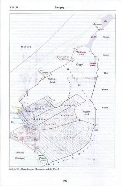 Datei:Ahrenshoop Schommartz 102.jpg