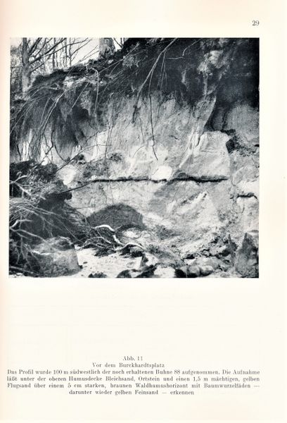 Datei:Kolp Nordöstliche Heide 0029.jpg