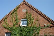 Neu Schwinz-KA Dobbertin 183 (2002).jpg