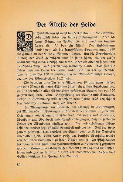 Datei:Ahrens Kleinod 56.jpg