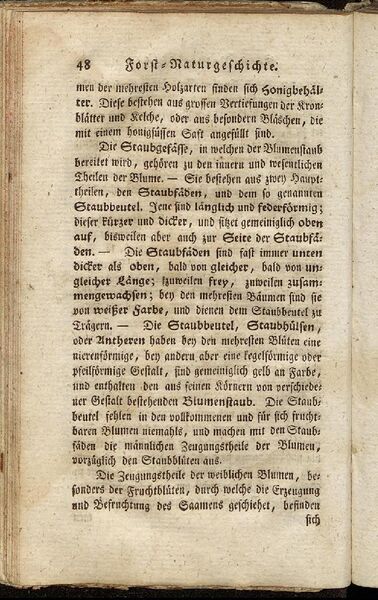 Datei:Fiedler Handbuch Forstwirtschaft 1796-057.jpg
