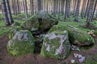 Hünengräber Sandkrug 1 2.jpg