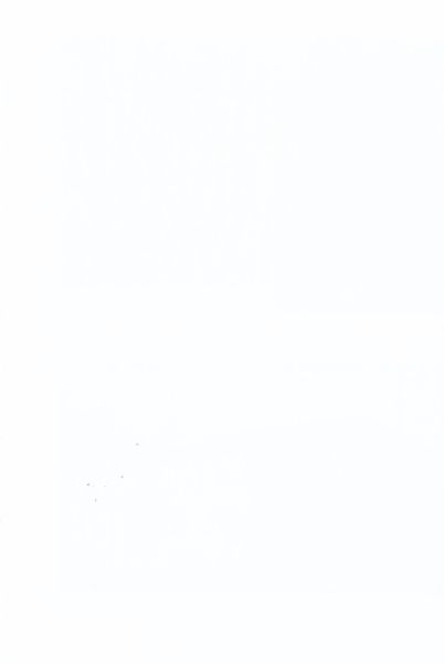 Datei:Hirschb Wies 293.jpg