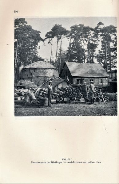 Datei:Kolp Nordöstliche Heide 0106.jpg