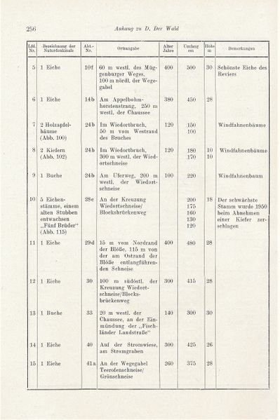 Datei:Kolp Nordöstliche Heide 0256.jpg