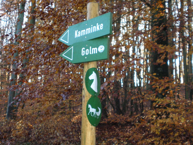 Datei:05 Reitweg.jpg