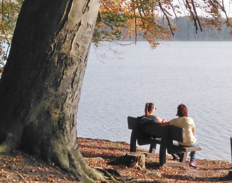 Datei:2017 Wolgastsee Bank.jpg