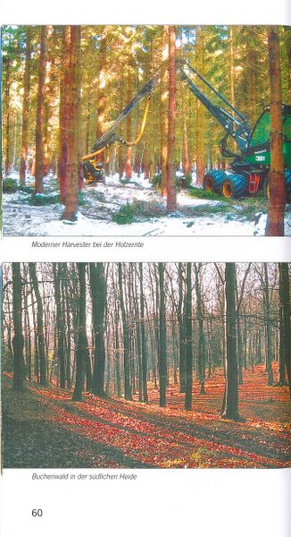 Datei:ML Gelbensander Forst 60.jpg