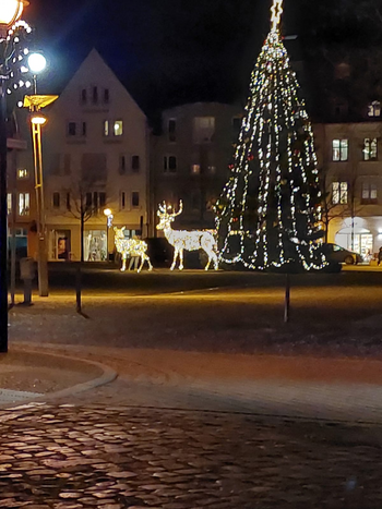 Da erstrahlt der Weihnachtsbaum aus Bömitz in seinem Lichterglanz.