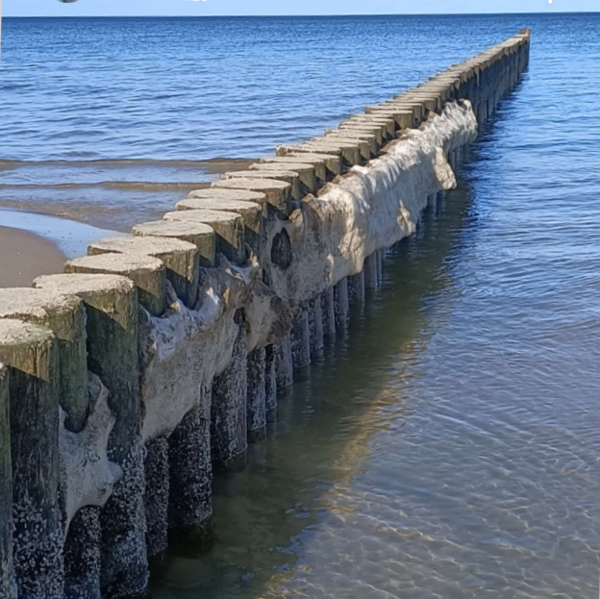 Datei:Niedrigwasser Februar 2026.png