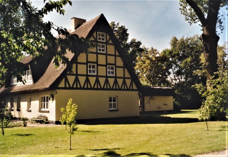 Datei:Schwarbe gelb.jpg