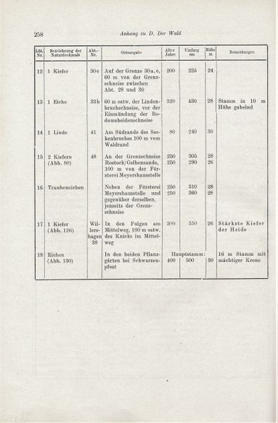 Datei:Kolp Nordöstliche Heide 0258.jpg