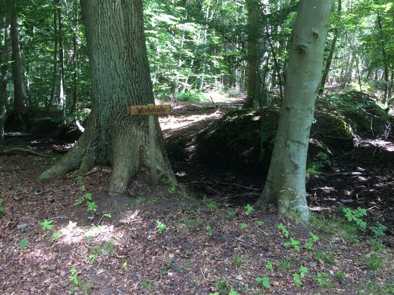 Datei:RH Winkeleiche 3.JPG.JPG