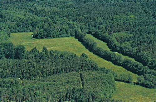 Willershagen Rev rechte untere Ecke Haubachübergang des Ribnitzer Landweges(Foto: Wilfried Steinmüller 2002)