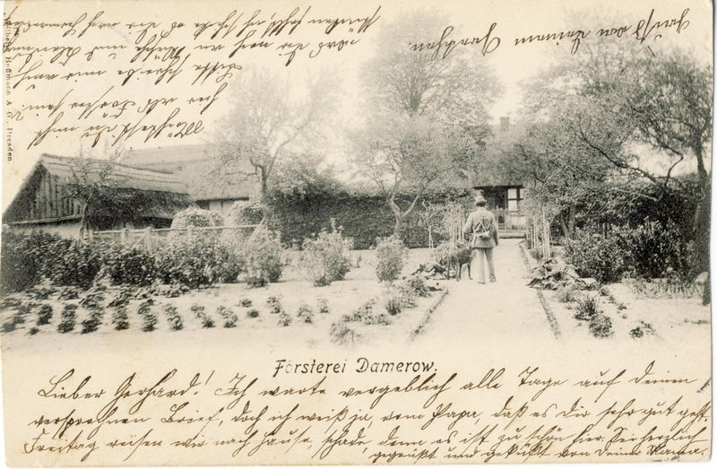 Datei:1901 Damerow.jpg