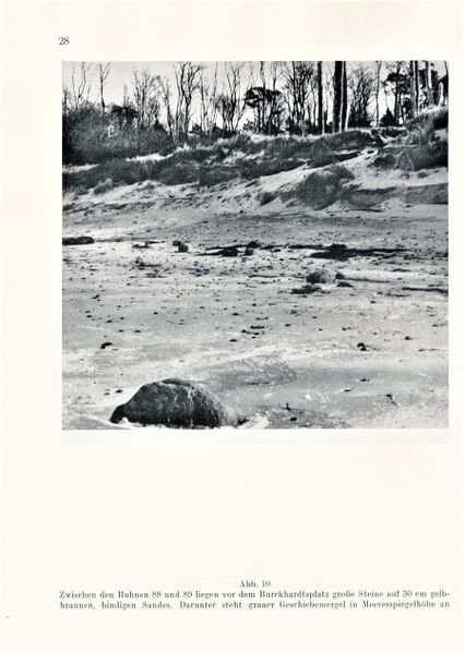 Datei:Kolp Nordöstliche Heide 0028.jpg