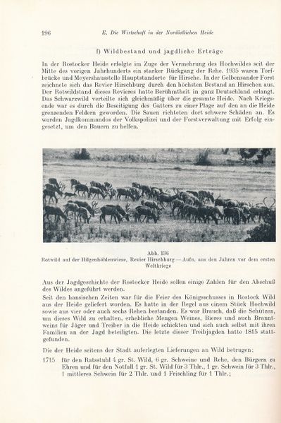 Datei:Kolp Nordöstliche Heide 0196.jpg