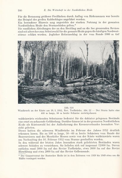 Datei:Kolp Nordöstliche Heide 0180.jpg