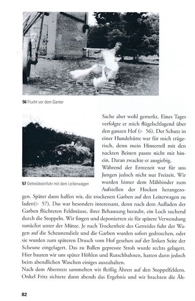 Datei:Krüseliner Mühle Lemke 082.jpg