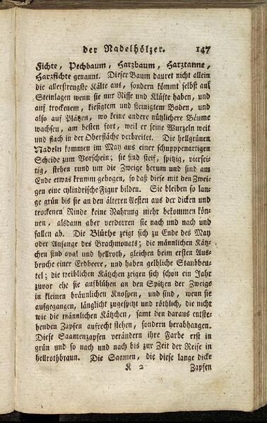 Datei:Fiedler Handbuch Forstwirtschaft 1796-156.jpg