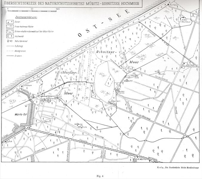 Datei:Kolp Nordöstliche Heide 0132a.jpg