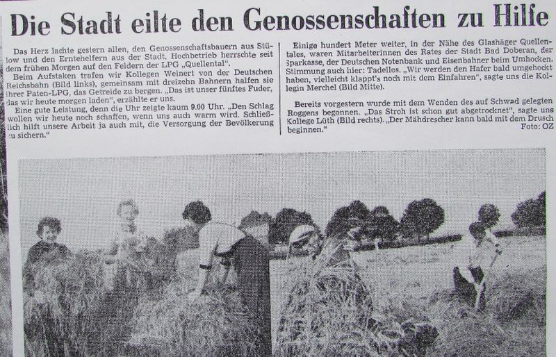 Datei:Glash129.jpg