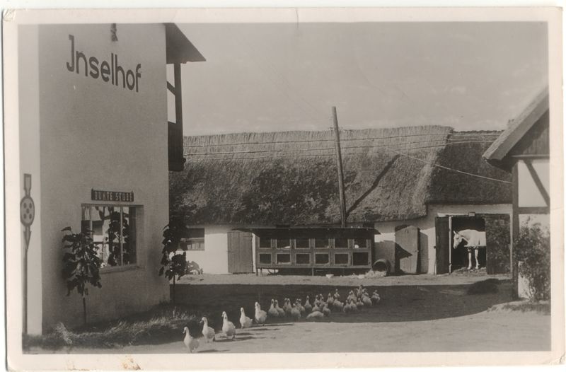 Datei:Tiere1941.jpg