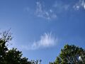 Vorschaubild der Version vom 12:43, 21. Jun. 2026