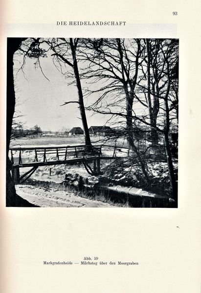 Datei:Kolp Nordöstliche Heide 0093.jpg