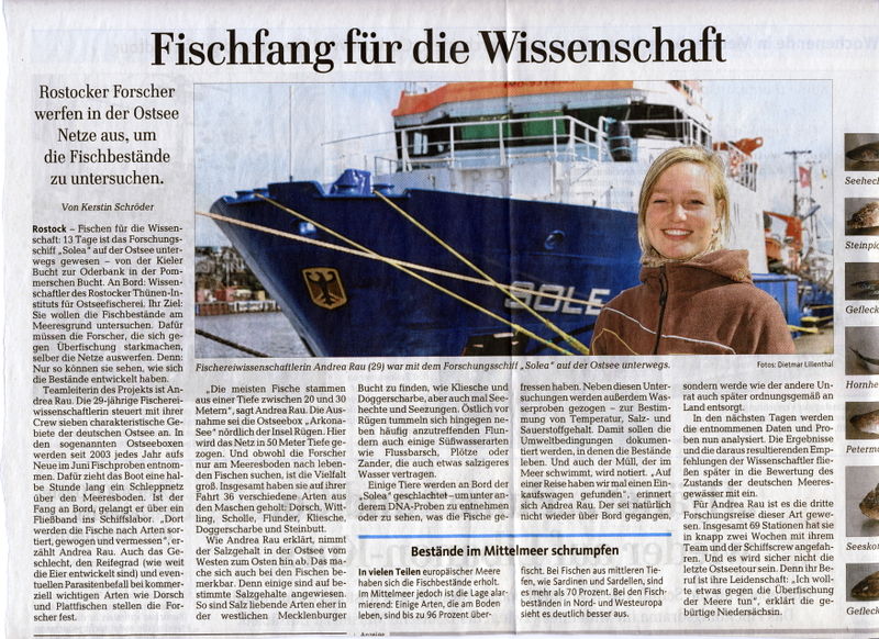 Datei:2015 Ostsee Fische a.jpg