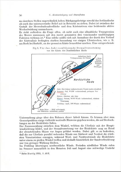 Datei:Kolp Nordöstliche Heide 0056.jpg