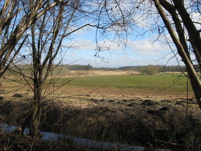 Wassergräben Tollensetal 1.JPG