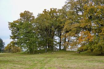 Hünengräber Pöglitz 1 1.jpg