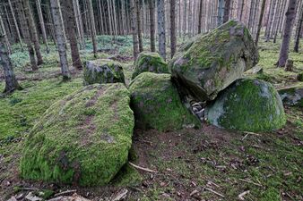 Hünengräber Sandkrug 1 3.jpg