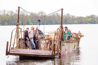 Fähre für Tiertransport zu Insel Lieps (vor 2010)