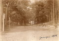 1908 Zempin Weg zum Strand.jpg