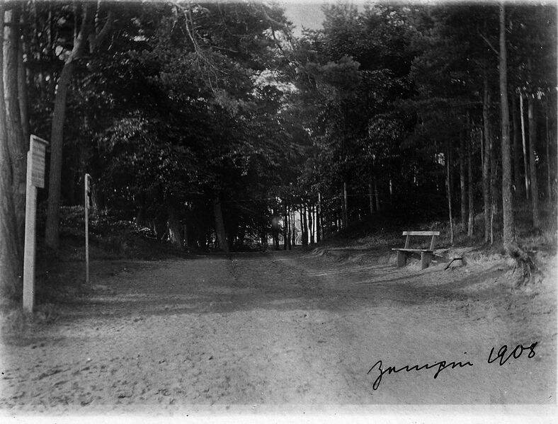 Datei:1908 Zempin Weg zum Strand.jpg
