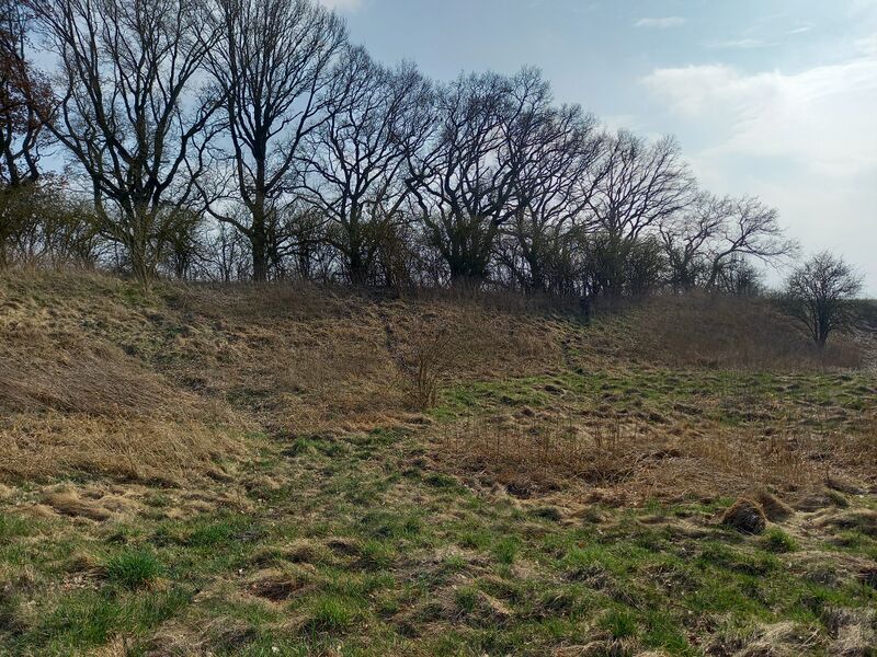 Datei:Friedrichsruhe Burgwall-3.jpg