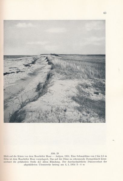 Datei:Kolp Nordöstliche Heide 0063.jpg