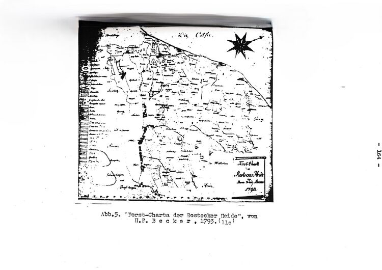 RH Oelsnitz Forstwirtschaftsgeschichte NÖM 1955 164