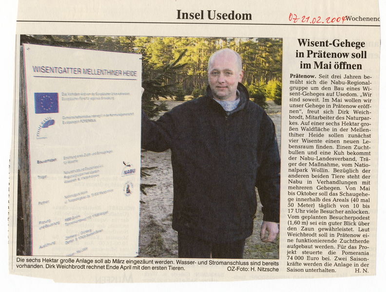 Datei:2004 Wisente 02.jpg