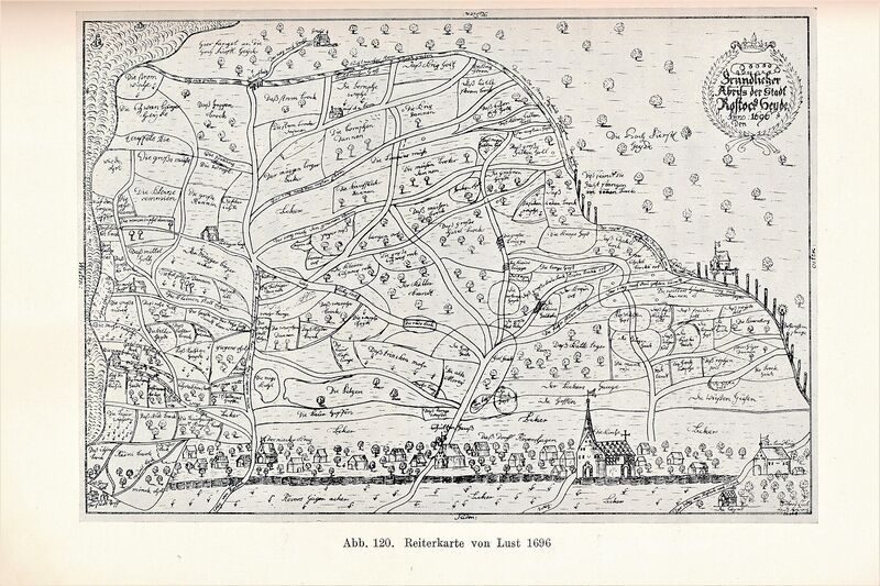 Datei:Kolp Nordöstliche Heide 0163a.jpg