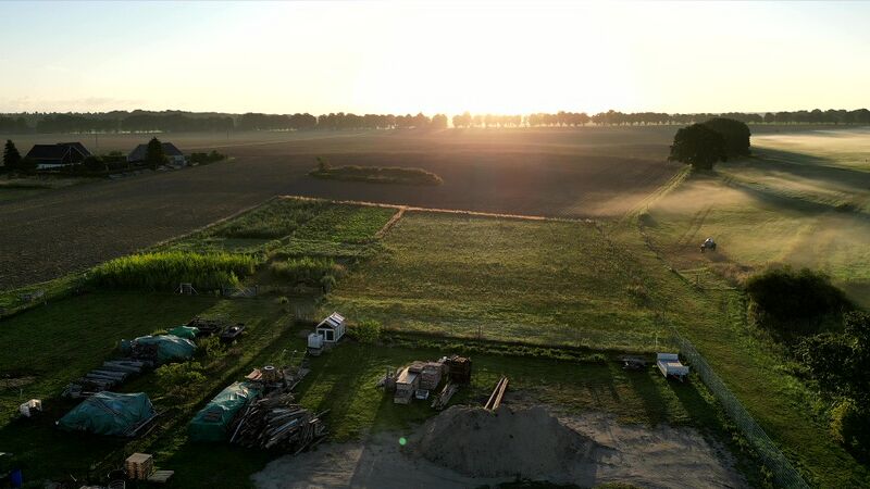 Datei:Morgensonne.jpg