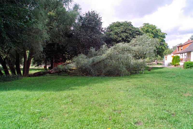 Datei:22.07.25 2.jpg
