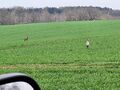 Vorschaubild der Version vom 10:08, 11. Jun. 2026