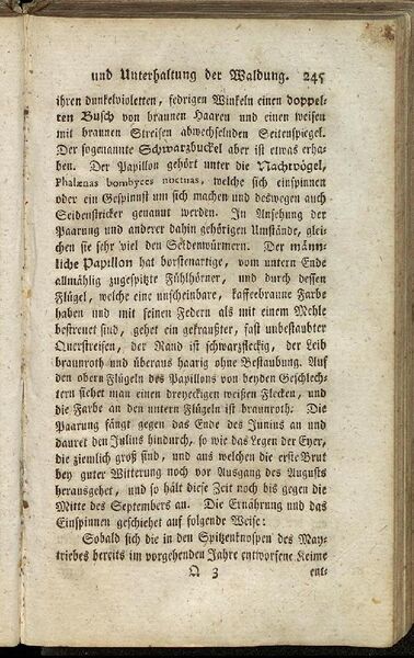 Datei:Fiedler Handbuch Forstwirtschaft 1796-254.jpg