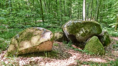 Hünengräber Waren 1 4.jpg