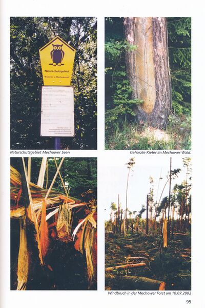 Datei:Mechow Goetsch 95.jpg