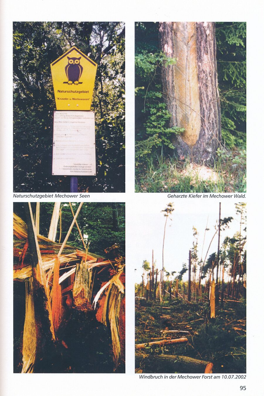 Mechow Goetsch 2004 95